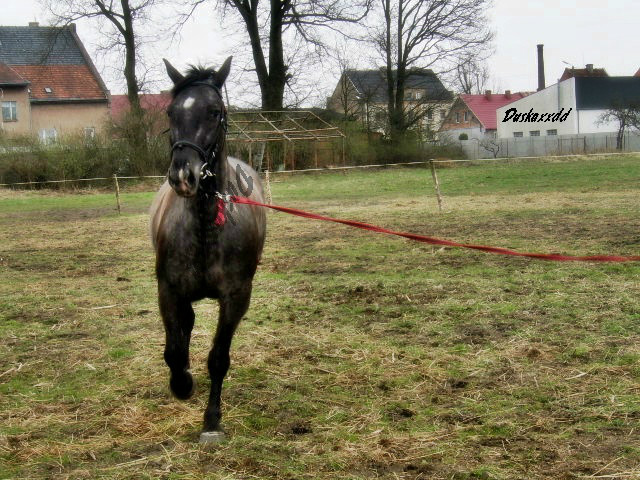 10.KWIETNIA .