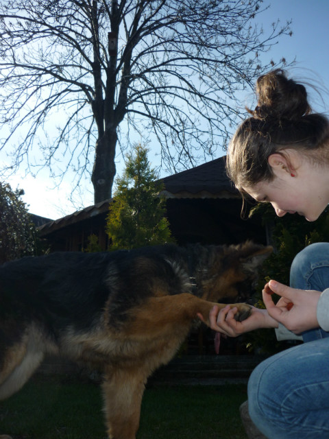 Koda < 3 ~ 