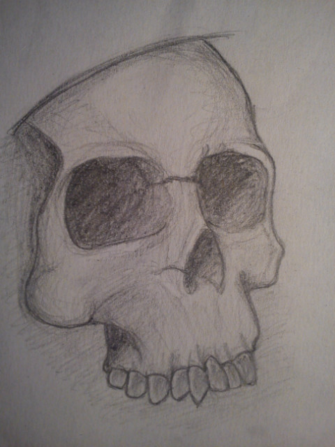 skull