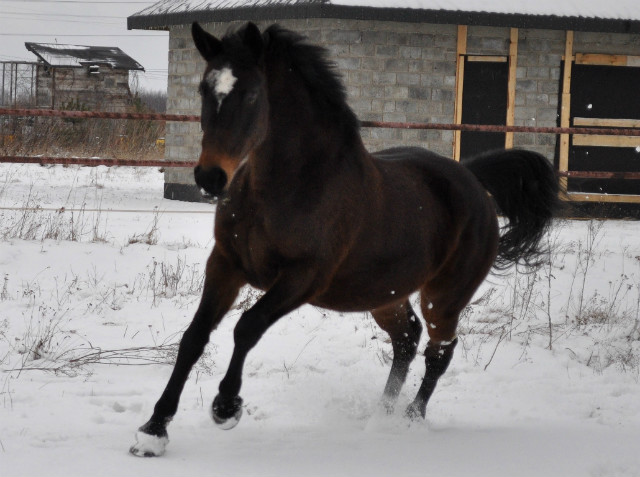 Stycze;)