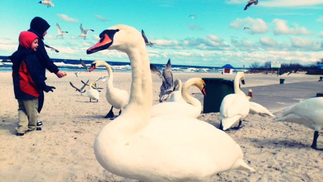 We are young.