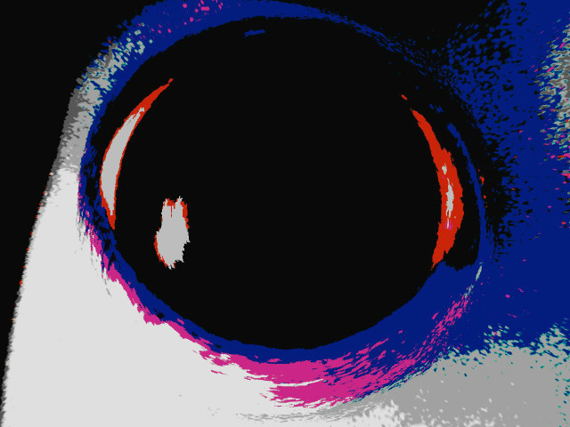 No future
