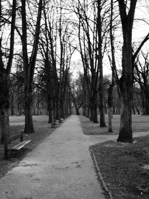taki tam park numer 2 ; D