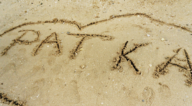 pitek 13.