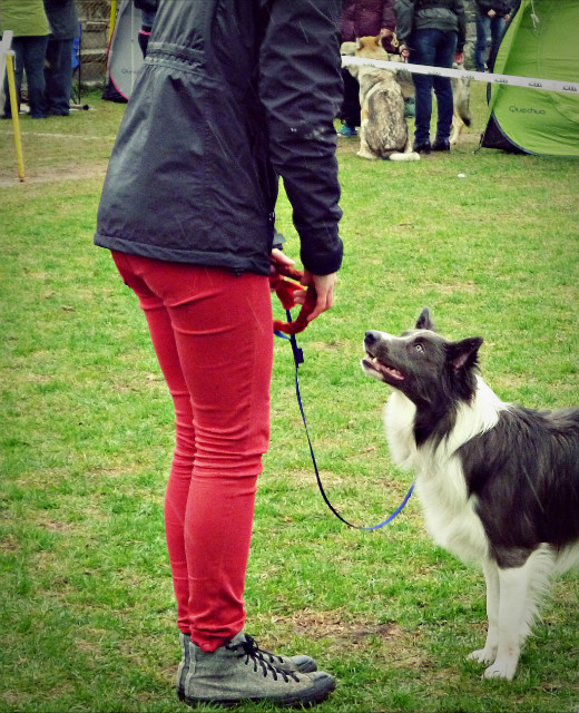 Inowrocaw 15.04.12r.