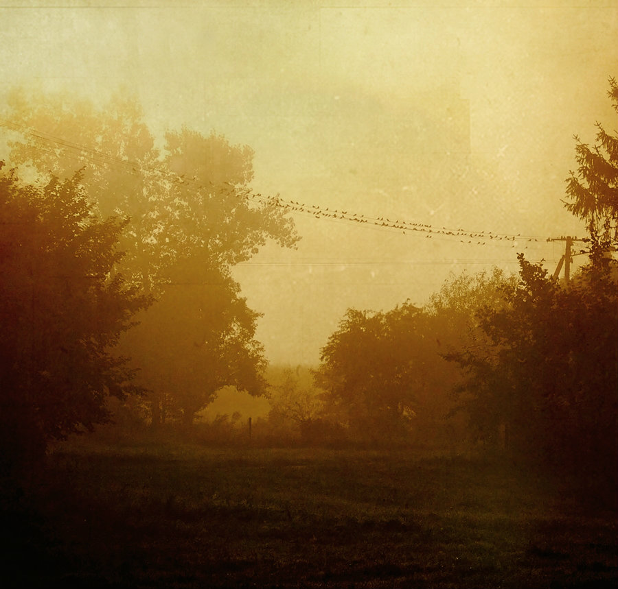 dawn of a fairytale