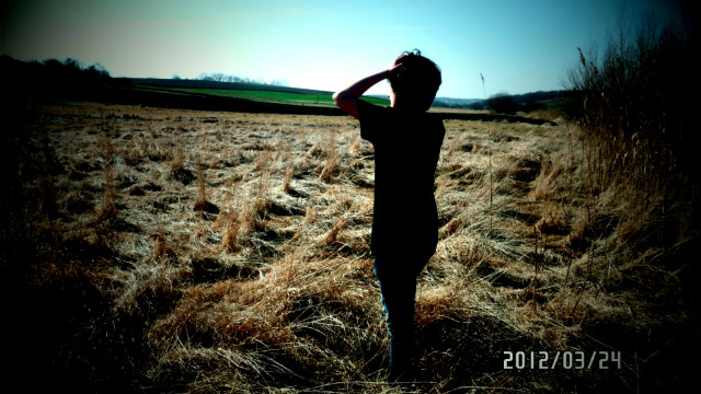 brak Si ; O