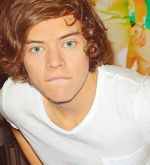 harry 