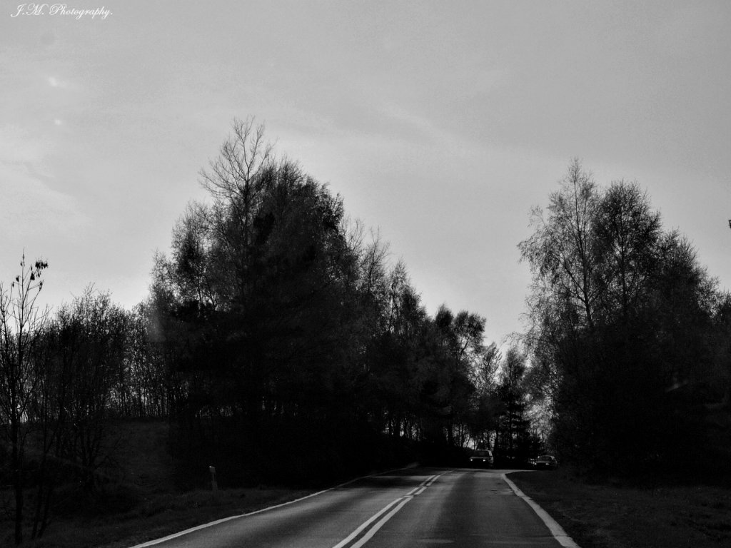 116.donikd.