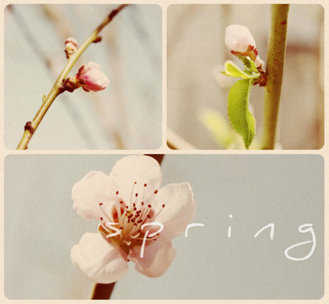 Spring