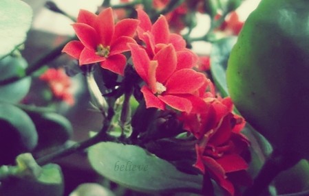 Red.