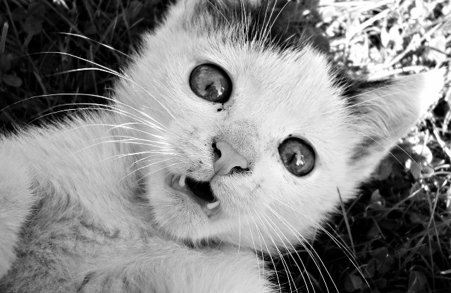 :3