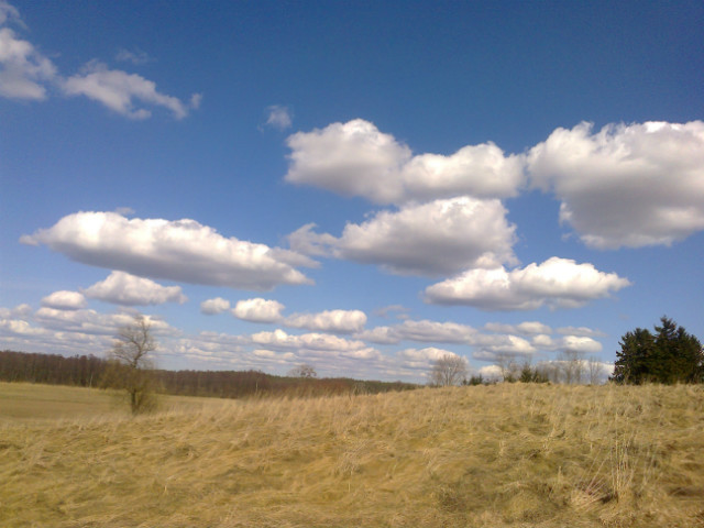 majwko, witaj