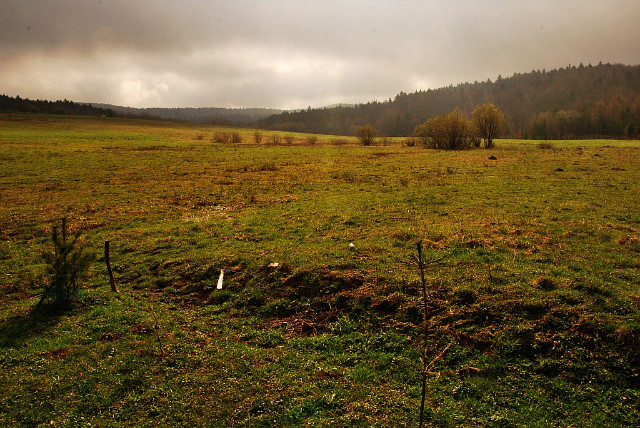 Zyndranowa - poburzowo...