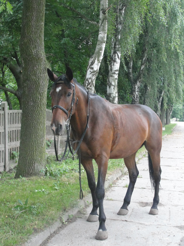 Czasio ;)