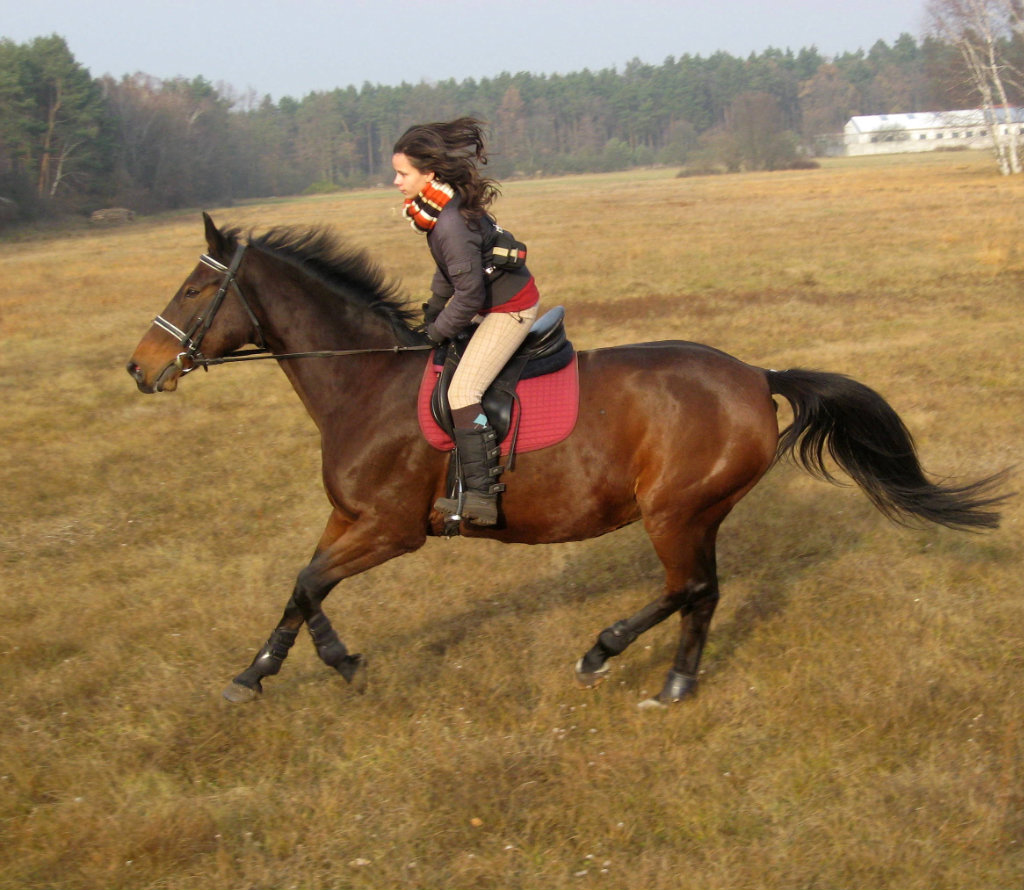 Cenna