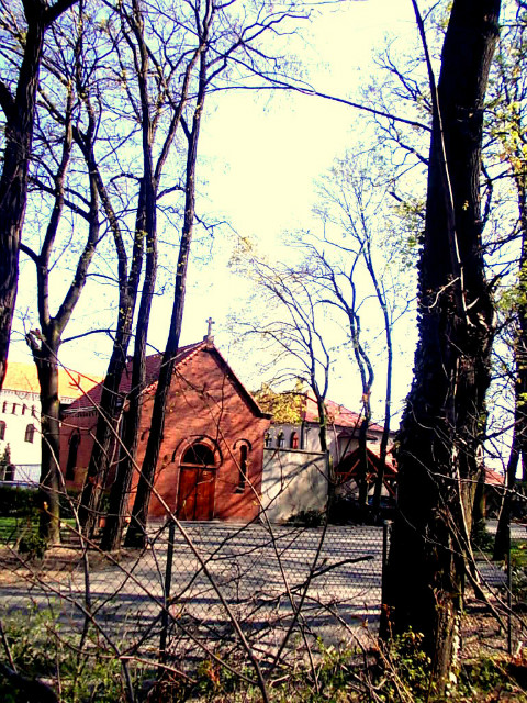 Pleszew