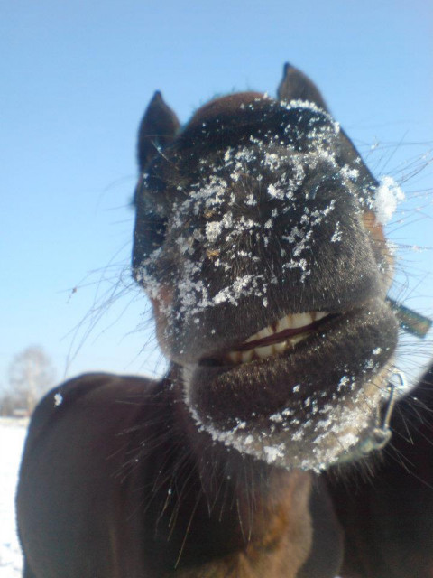 fot. kasia : -*