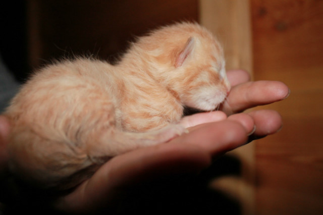 My George :) 