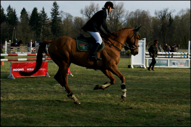 Rudy :D