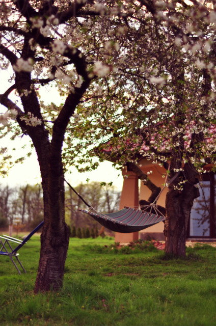 Spring