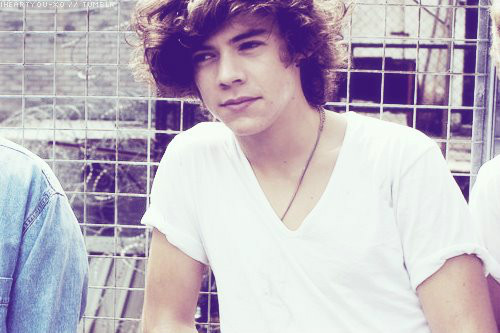 Harry Styles!;**