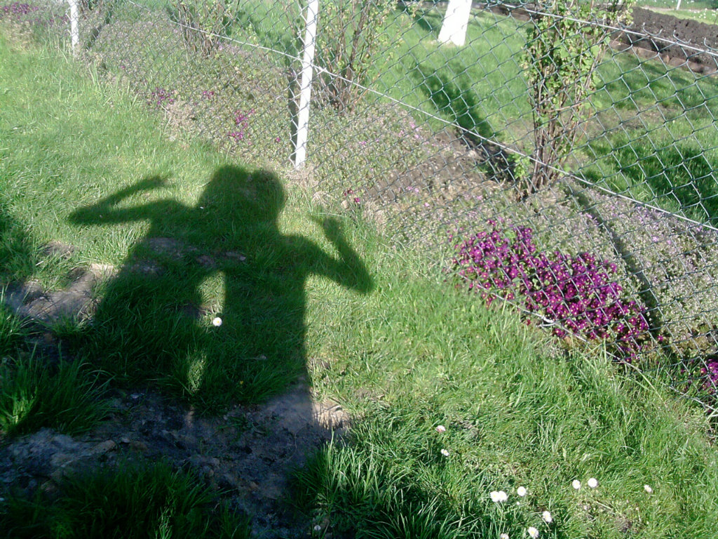 Cienie