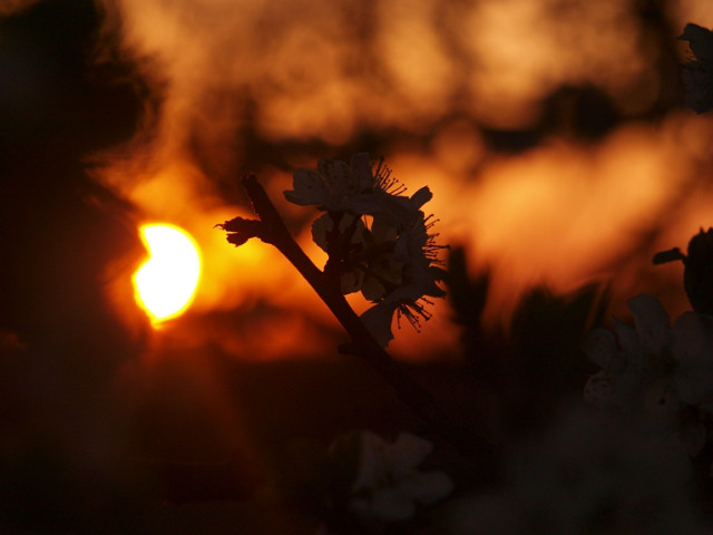 evening