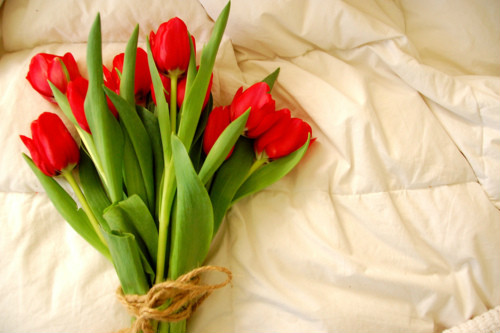 Tulipany