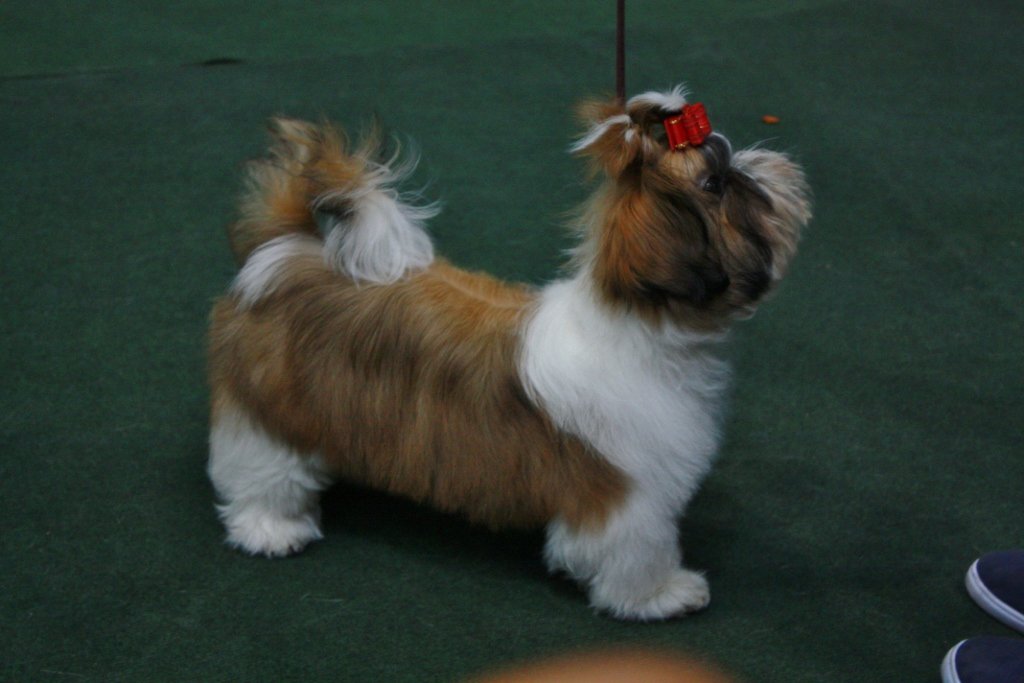 klubowka w Opolu 2012