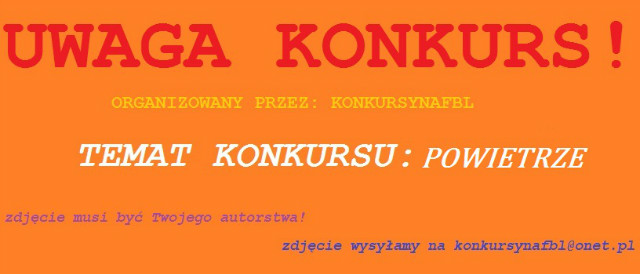 konkurs cz III