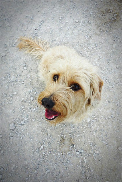 Hektorowy smile :D