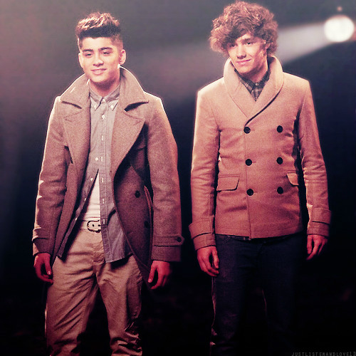 onedirection1312