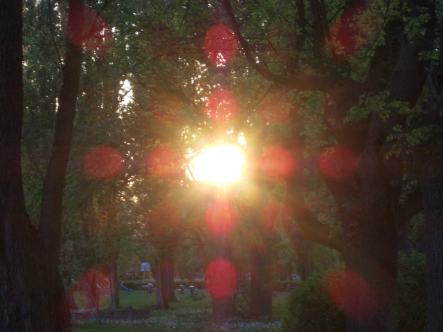 Spring sun