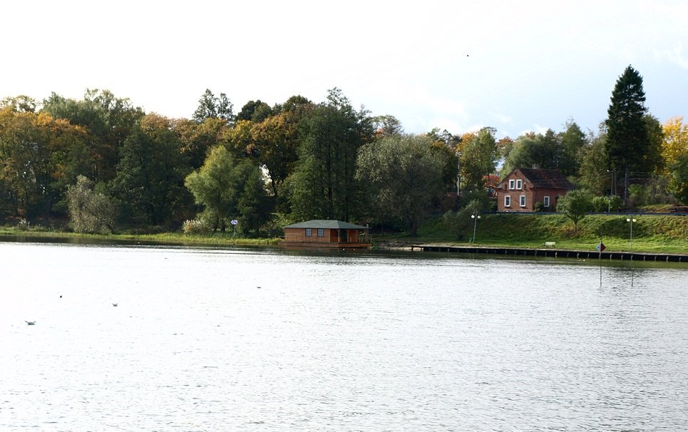 Niedziela