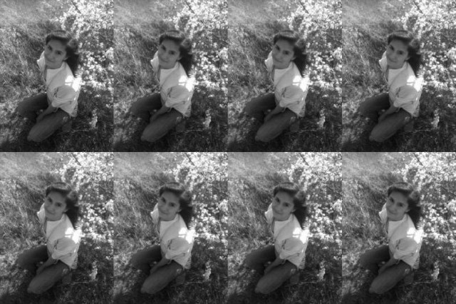 Mj kot to mj kot; p