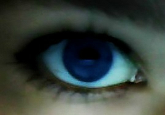 Hawk eye 