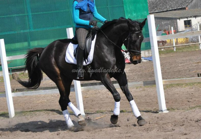 Wolibara. ;*