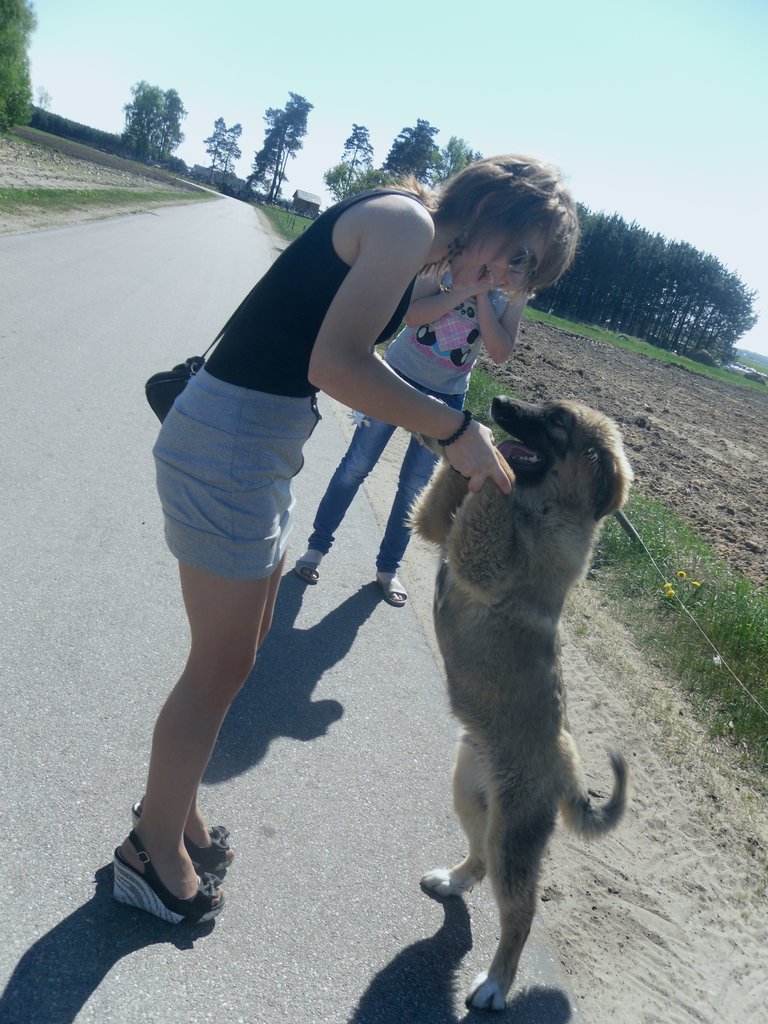 - Przyja - pikne sowo, lecz 