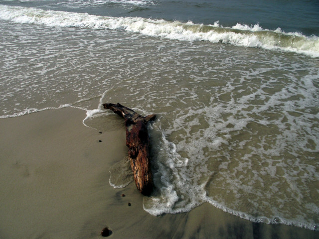 sea