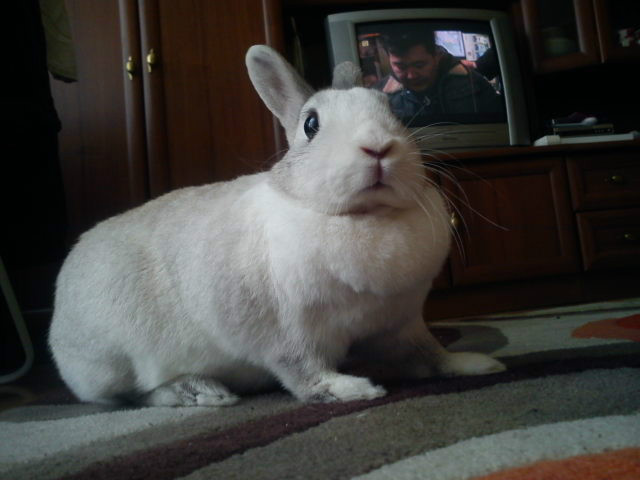 haaha . Kubaa zobaczy my sister