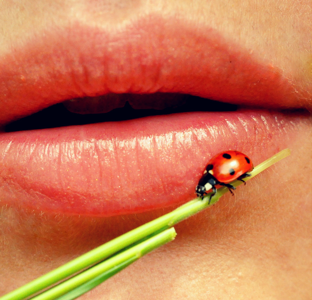 kiss me