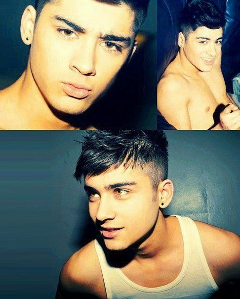 amayZAYN 
