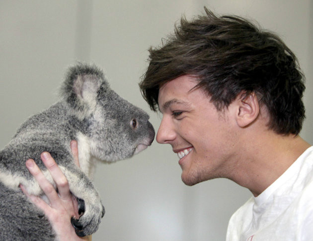 Louis 