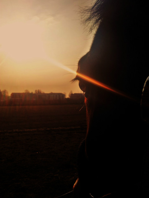 Rozmarzona ;] 