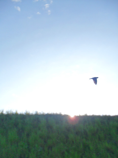 I believe I can fly