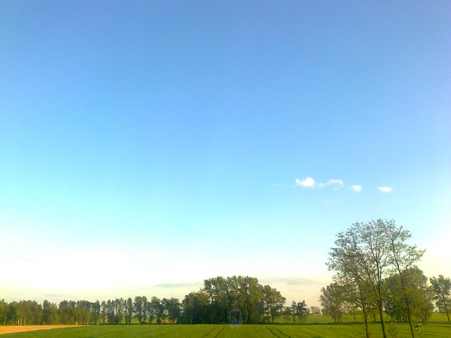 Poniedziaek .