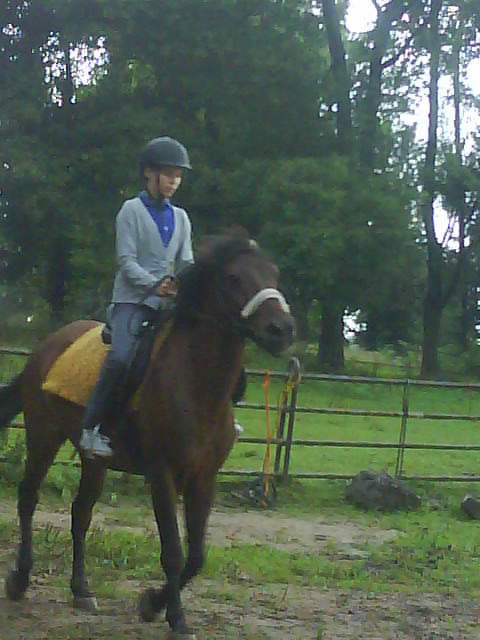 `Szalony Gupek :**