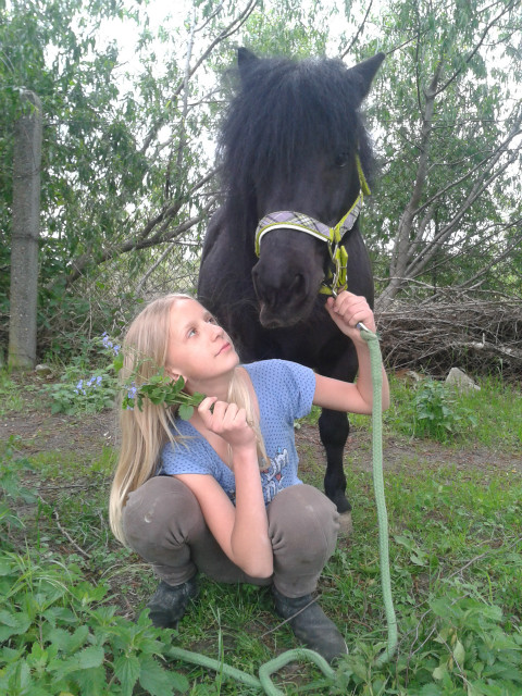 z Ni ;*
