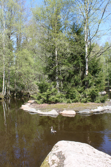 Bor&aring;s Djurparken